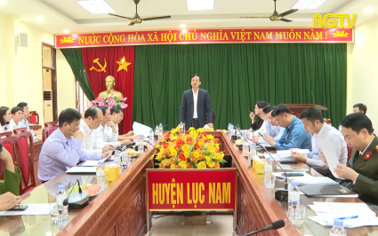 Lục Nam phấn đấu đón đoàn thẩm định nông thôn mới Trung Ương trong tháng 6 