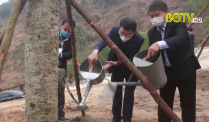 Lục Nam tổ chức phát động Tết trồng cây xuân Tân sửu năm 2021