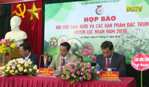 Lục Ngạn họp báo về Hội chợ Cam, Bưởi và sản phẩm đặc trưng