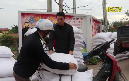 Lục Ngạn: Tiếp nhận, cấp gạo hỗ trợ trồng, chăm sóc rừng 