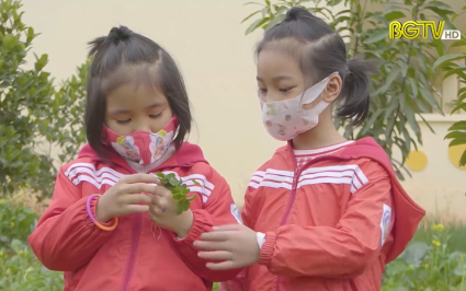 Mô hình trường mầm non xanh, an toàn, thân thiện