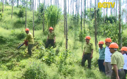 Nâng cao công tác quản lý lửa rừng, phòng cháy chữa cháy rừng