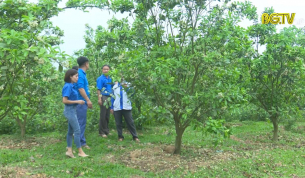 Nâng cao đời sống cho thanh niên