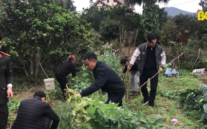 Ngăn chặn tình trạng người dân "Lợi dụng" thiếu hiểu biết để trồng cây có chứa chất ma túy 