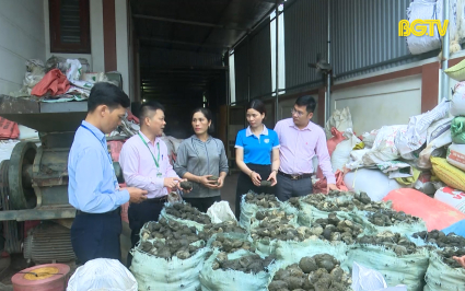 Hiệp Hoà: Ngân hàng hỗ trợ người dân phục hồi sản xuất sau bão