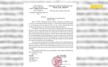 Ngành điện lực trả lời về nguyên nhân 3 con trâu bị chết