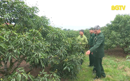 Người cựu chiến binh trong thời bình