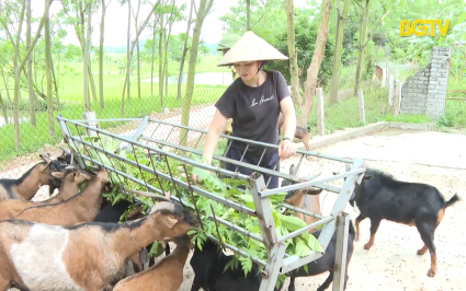 Người phụ nữ biến đất hoang thành trang trại