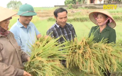 Nhân lên điển hình canh tác lúa thân thiện với môi trường 