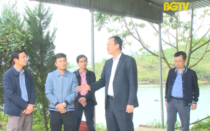 Nhanh chóng xử lý vụ việc công ty chăn nuôi gây ô nhiễm môi trường tại Sơn Động