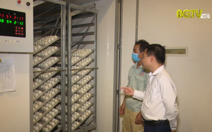 Nhập khẩu máy ấp trứng công nghệ Hàn Quốc