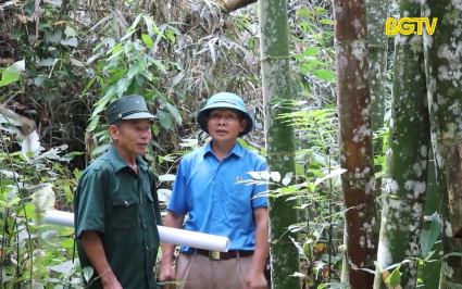 Những cựu chiến binh giữ rừng ở Sơn Động 