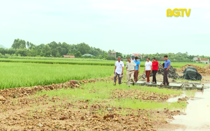 Những điển hình tiên tiến trong phát triển kinh tế xã hội