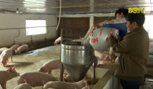 Nông dân Yên Dũng làm giàu nhờ phong trào sản xuất kinh doanh giỏi