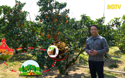 Nông nghiệp tuần hoàn: Nền tảng phát triển nông nghiệp bền vững