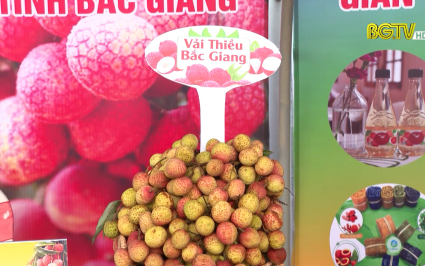 Nông sản Bắc Giang thu hút người tiêu dùng tại Ngày hội trái cây Tiền Giang