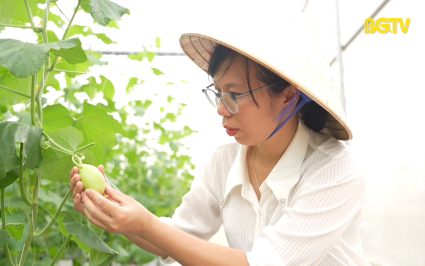 Nữ thủ lĩnh HTX năng động, làm kinh tế giỏi