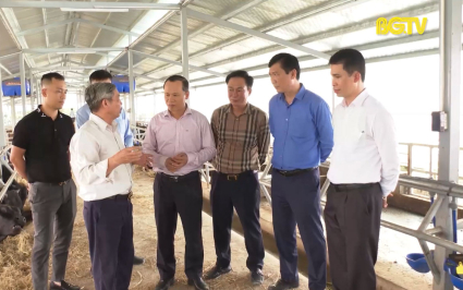 Phó Chủ tịch TT UBND tỉnh Mai Sơn kiểm tra một số đề tài, dự án KH&CN