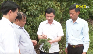 PCT TW Hội nông dân Việt Nam làm việc với Hội nông dân tỉnh