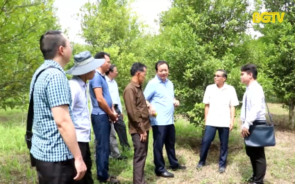 Phái đoàn tỉnh Bắc Giang khảo sát và thu thập thông tin về nông nghiệp tại tỉnh Xay Sổm Bun, Lào