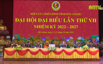 Phát huy bản chất bộ đội cụ Hồ, truyền thống vẻ vang của cựu chiến binh