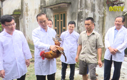 Phát triển nông nghiệp Bắc Giang toàn diện bền vững