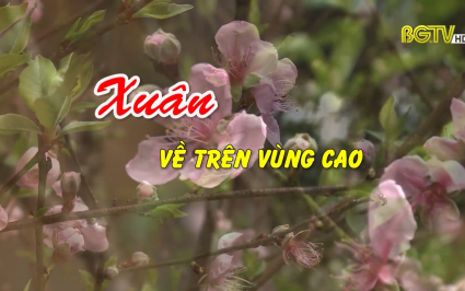 Phóng sự: Xuân về trên vùng cao