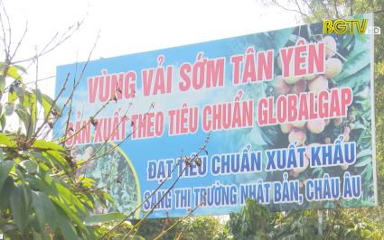 Quản lý mã số vùng trồng và cơ sở đóng gói nông sản phục vụ xuất khẩu