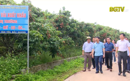 Quảng bá thương hiệu để nâng cao giá trị nông sản