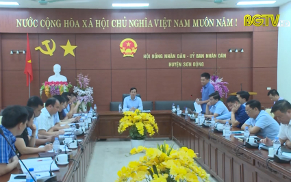 Sơn Động cần tập trung tháo gỡ khó khăn để phát triển kinh tế