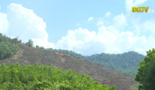 Sơn Động: Phá rừng, 3 cá nhân bị xử phạt