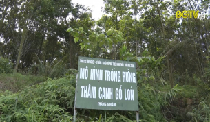 Sơn Động: Phát triển rừng gỗ lớn theo chứng chỉ FSC