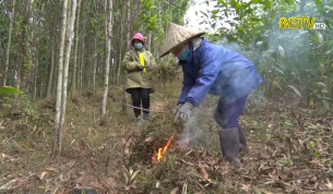 Sơn Động: Phòng chống cháy rừng mùa hanh khô