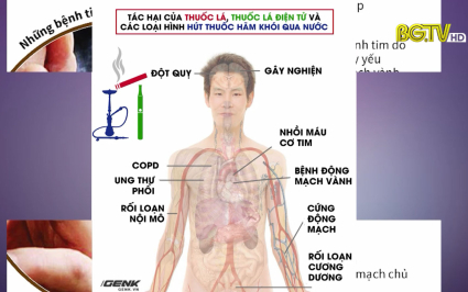 Tác hại của thuốc lá với hệ tim mạch