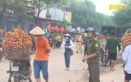 Tân Yên: Bảo đảm an toàn giao thông trong mùa tiêu thụ vải sớm 