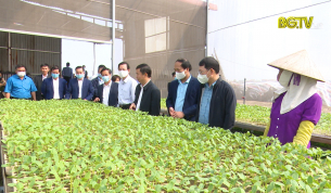 Tân Yên cần quy hoạch khu công nghiệp, nông nghiệp công nghệ cao
