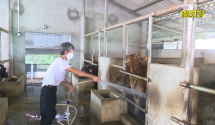 Tân Yên chủ động phòng chống nắng nóng cho đàn vật nuôi