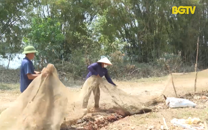 Tân Yên: Tập trung khôi phục chăn nuôi sau bão lũ 