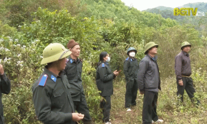 Tăng cường công tác bảo vệ rừng phòng hộ ở Lục Ngạn 
