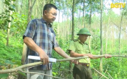 Tăng cường phòng cháy, chữa cháy rừng mùa khô