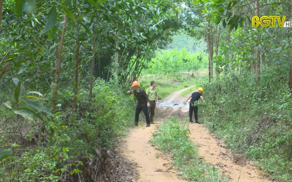 Tăng cường phòng, chống cháy rừng