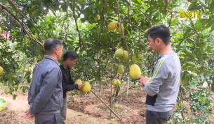 Tạp chí NNNT: Bắc Giang triển khai Đề án sản xuất nông nghiệp hữu cơ