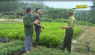 Tạp chí NNNT: Bắc Giang đẩy mạnh trồng rừng