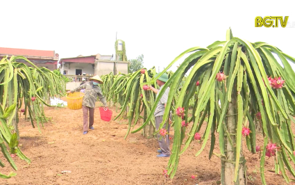 Thay đổi tư duy, không trông chờ vào sự hỗ trợ của nhà nước