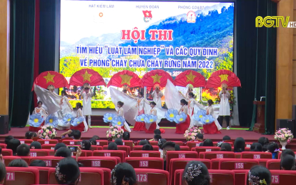 Thi tìm hiểu Luật lâm nghiệp, các quy định PCCC rừng