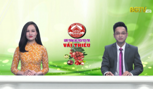 Thời sự THBG tối ngày 03 - 06 - 2020