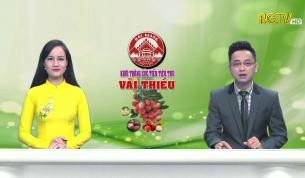 Thời sự THBG tối ngày 17 - 06 - 2020