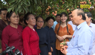 Thủ tướng Chính phủ thăm vùng vải thiều Lục Ngạn