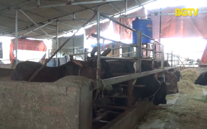 Tiềm ẩn nguy hiểm từ rò rỉ điện 