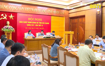 Tiếp tục triển khai hiệu quả Nghị quyết của Tỉnh ủy